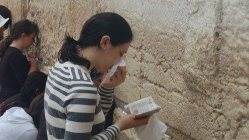 吃瓜娱乐圈大鱼