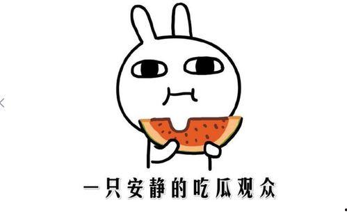 吃瓜了是啥意思,网络热词背后的文化现象